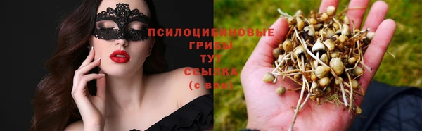 каннабис Арсеньев
